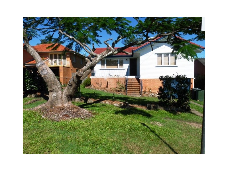 11 Camelia Street, Cannon Hill QLD 4170