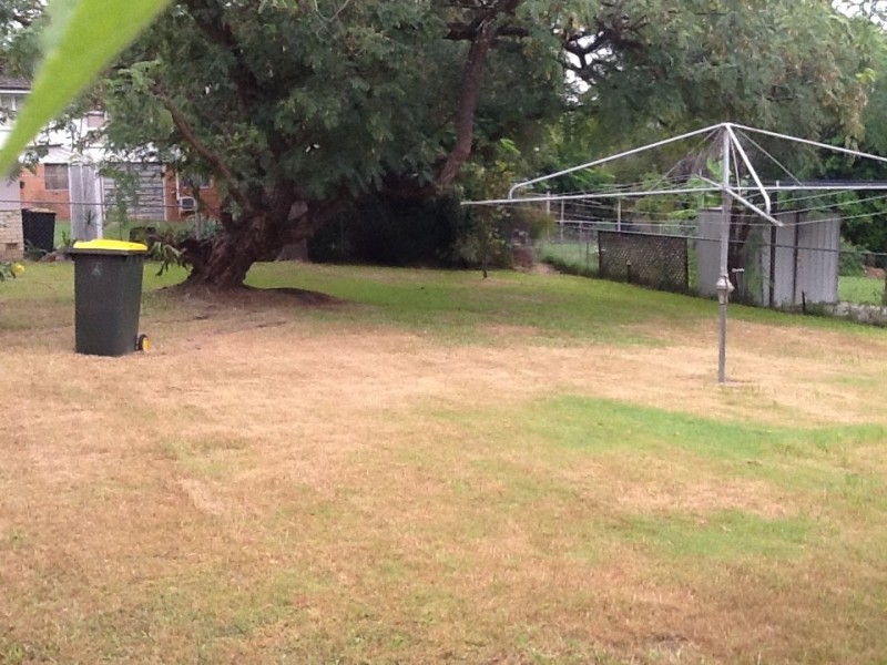 11 Camelia Street, Cannon Hill QLD 4170