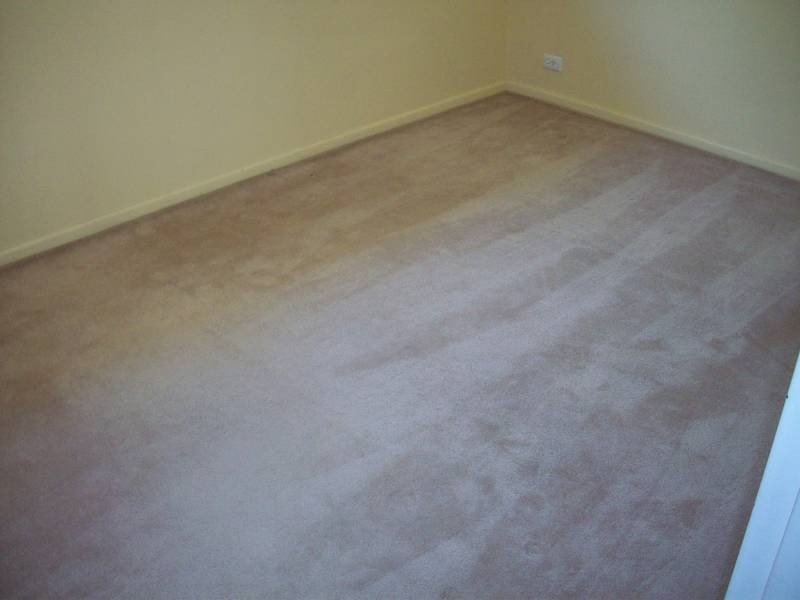 4/19 Olive Street, Morningside QLD 4170