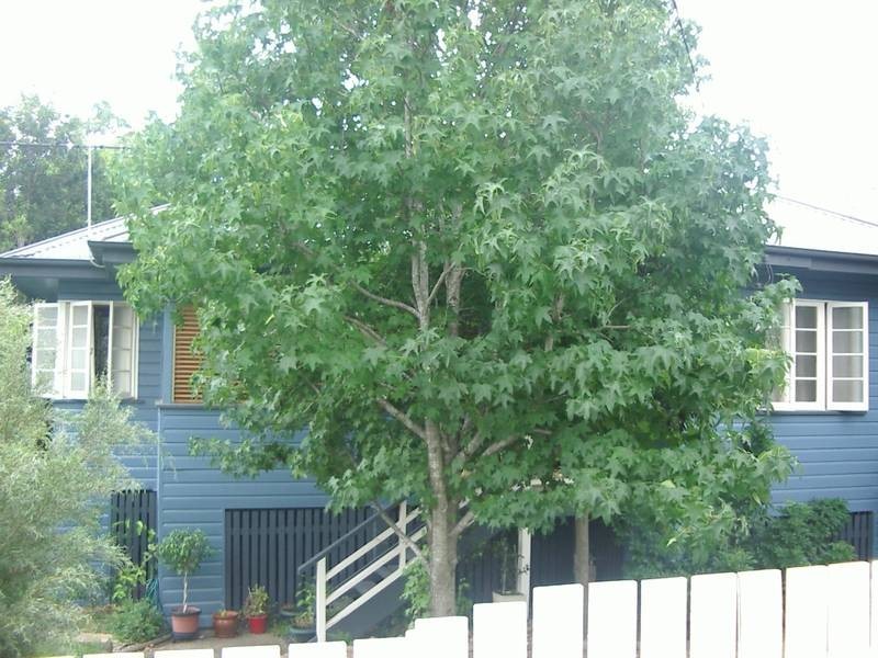 2/61 Moore Street, Morningside QLD 4170