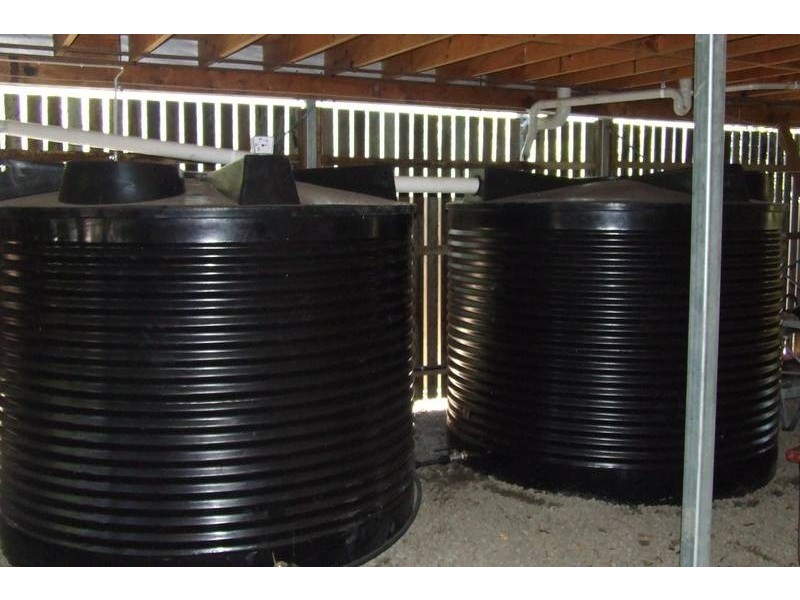 10 Thynne Avenue, Norman Park QLD 4170