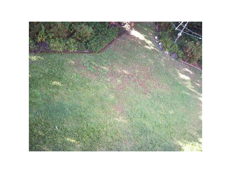 Cannon Hill QLD 4170