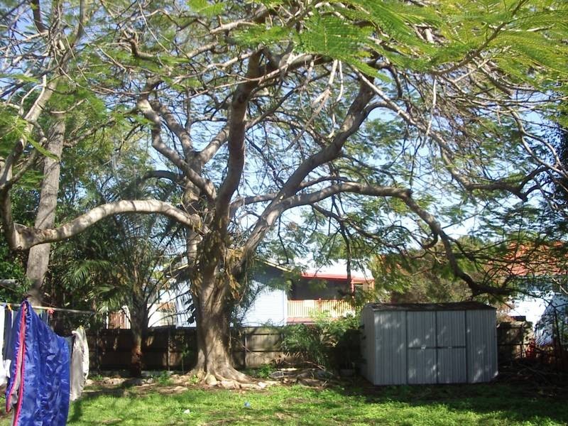 28 Meyrick Street, Cannon Hill QLD 4170