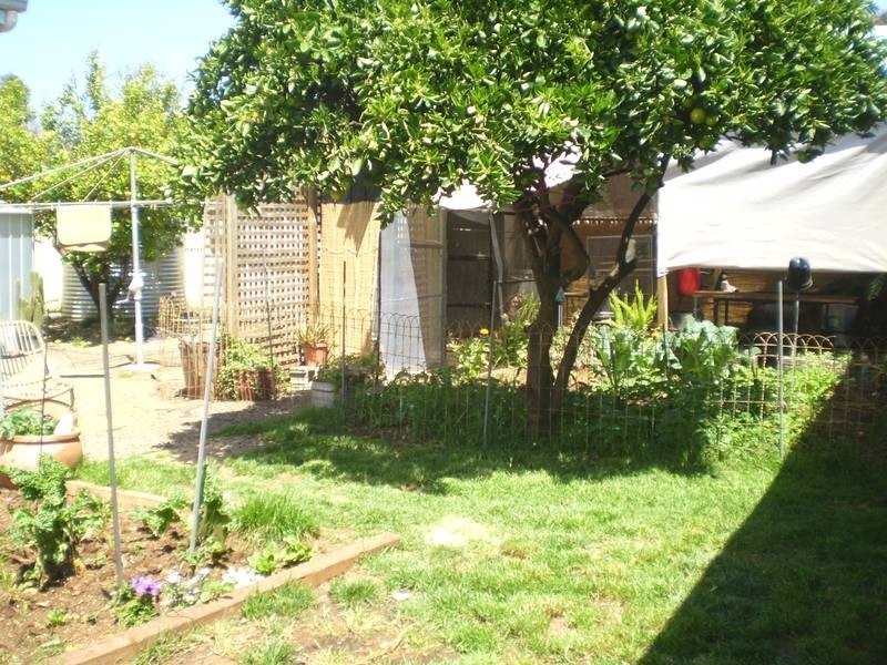 20 Mckenzie Road, Elizabeth Downs SA 5113