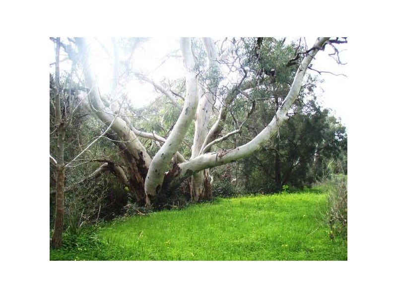 One Tree Hill SA 5114