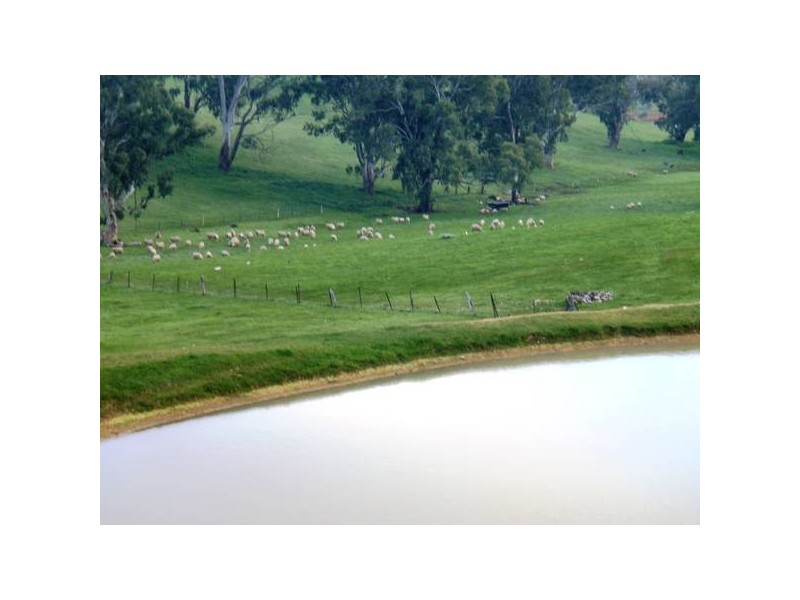 5 One Tree Hill Road, One Tree Hill SA 5114