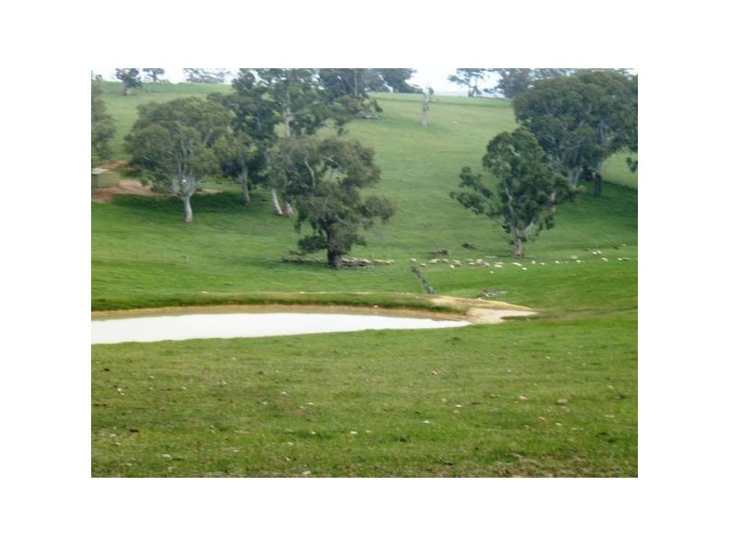 5 One Tree Hill Road, One Tree Hill SA 5114