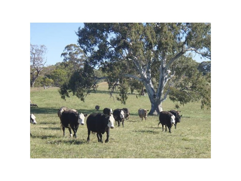 6 One Tree Hill Road, One Tree Hill SA 5114