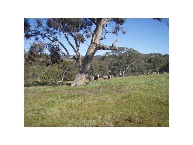 6 One Tree Hill Road, One Tree Hill SA 5114