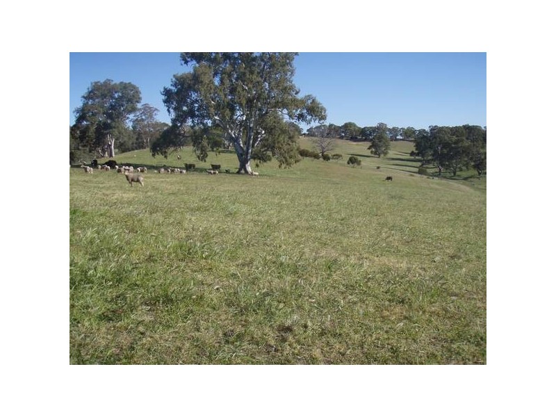 6 One Tree Hill Road, One Tree Hill SA 5114