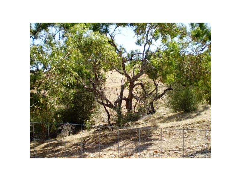 20 Brooker Drive, Hillbank SA 5112