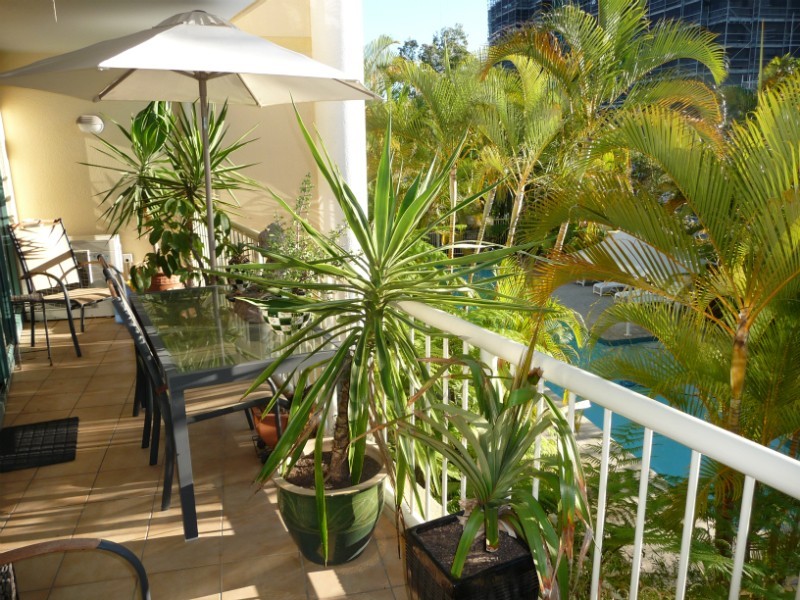 Chevron Island QLD 4217