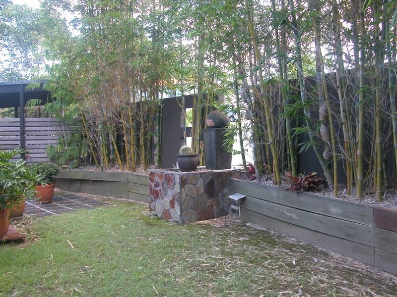 18 Wistaria Avenue, Southport QLD 4215