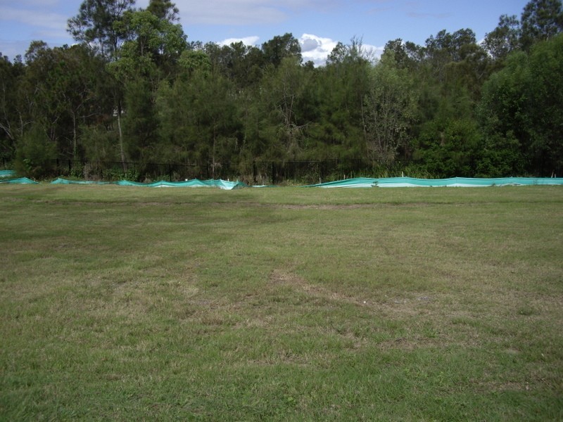 76 Bamboo Avenue, Bundall QLD 4217