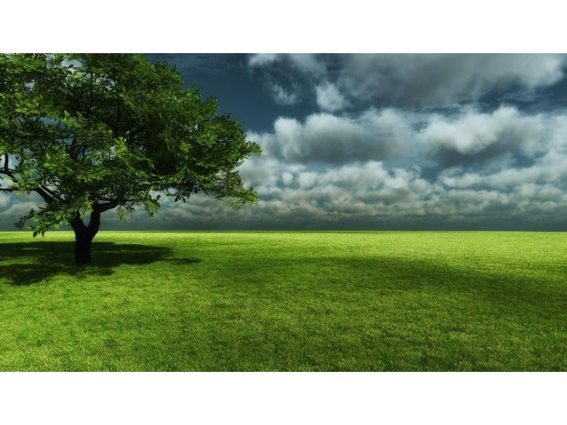 Lot 169,  Golden Glow Road, Tara QLD 4421