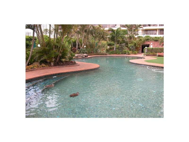 Surfers Paradise QLD 4217