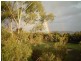 Robina QLD 4226