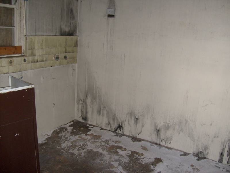 26 Princess Mary Street, St Marys NSW 2760