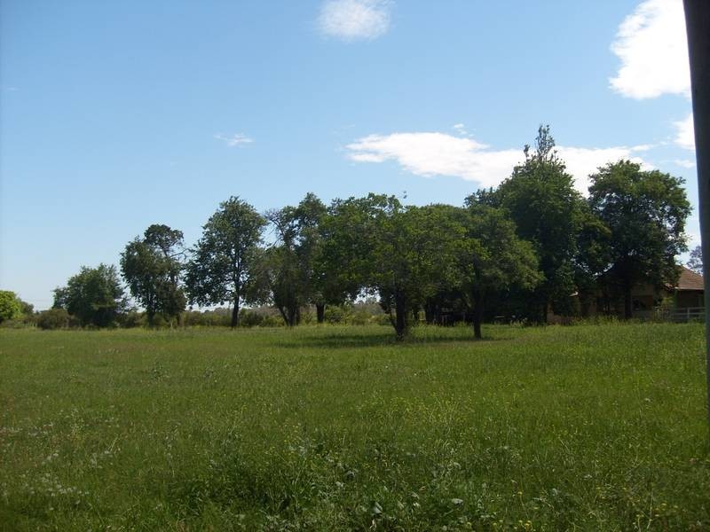 110 Saddington Street, St Marys NSW 2760