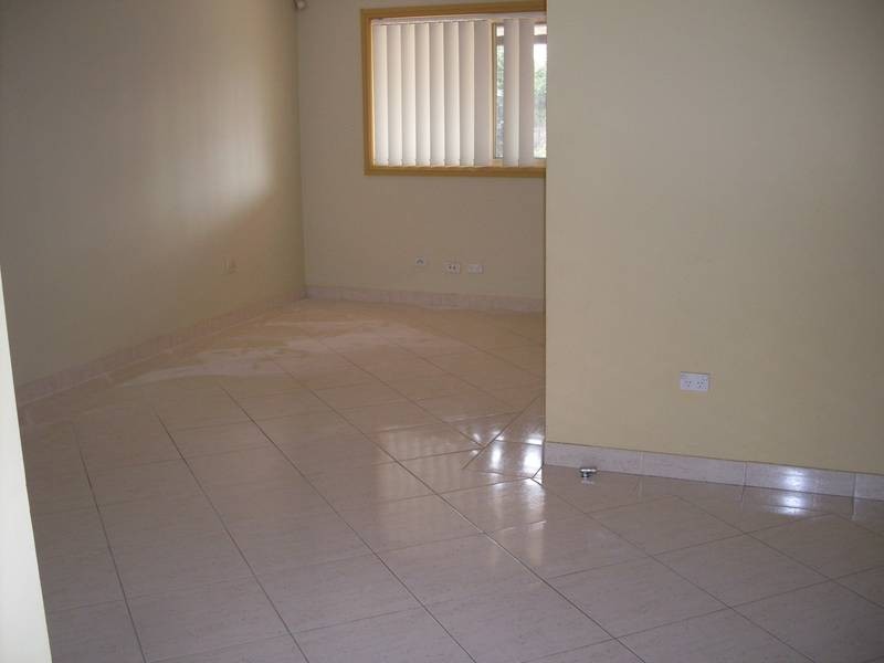 141 Shepherd Street, Colyton NSW 2760