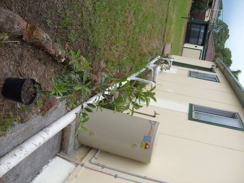 4a Morris St, St Marys NSW 2760