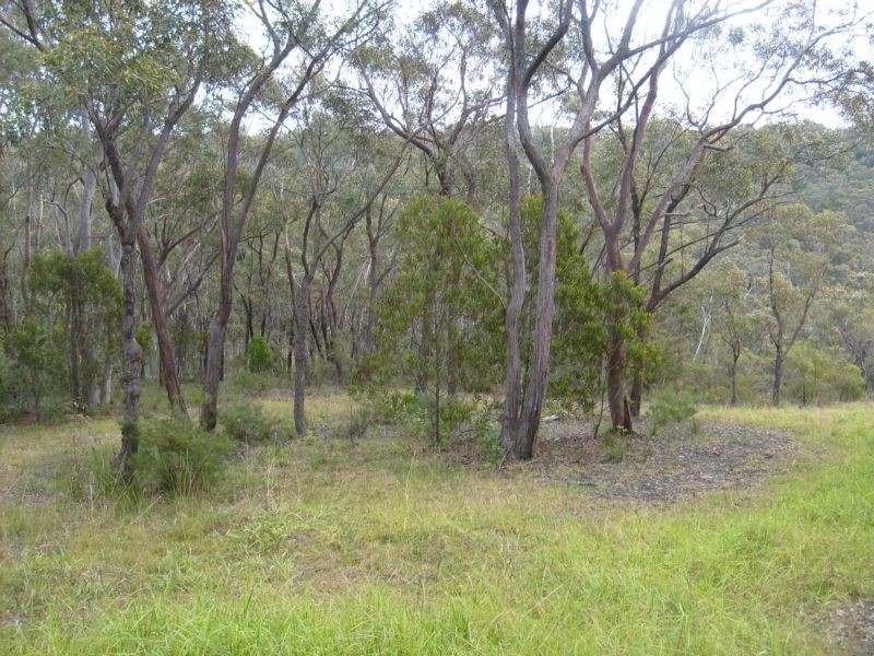 5B Riches Ave, Woodford NSW 2778