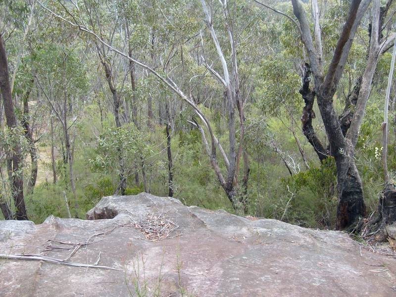 5B Riches Ave, Woodford NSW 2778