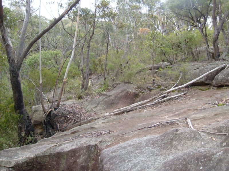 5B Riches Ave, Woodford NSW 2778