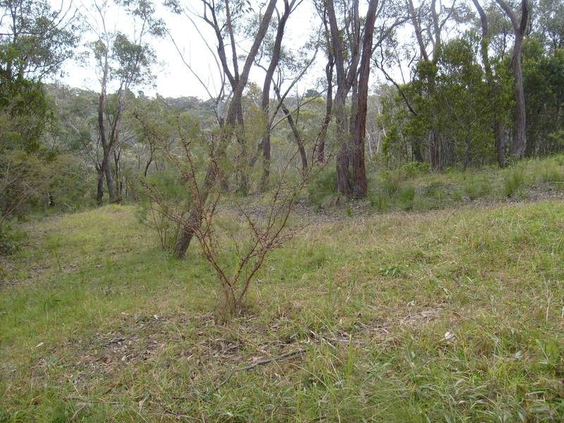 5B Riches Ave, Woodford NSW 2778