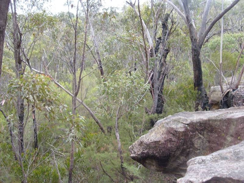 5B Riches Ave, Woodford NSW 2778