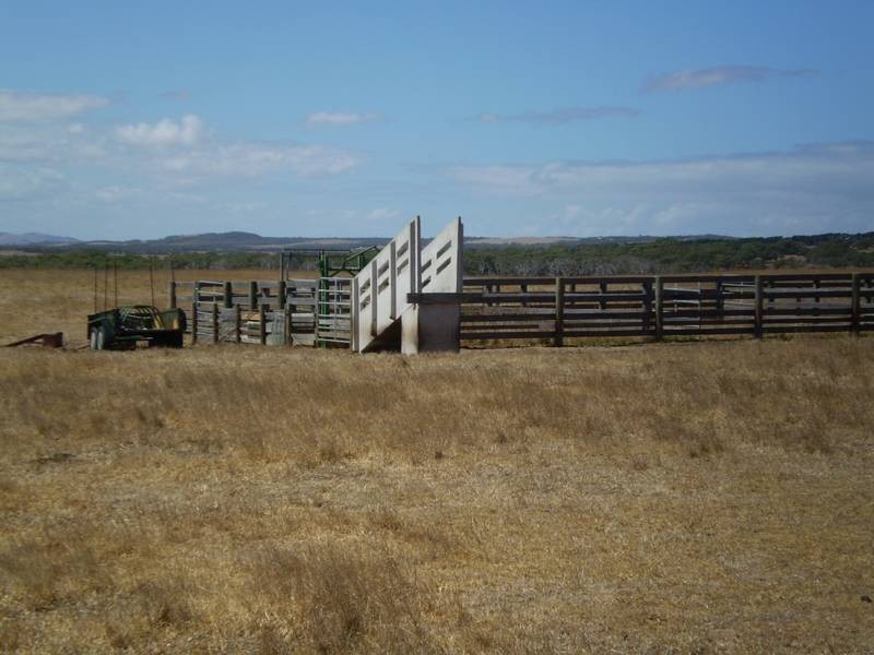 325 Mc Burnie and Boag Road, Tarwin Lower VIC 3956