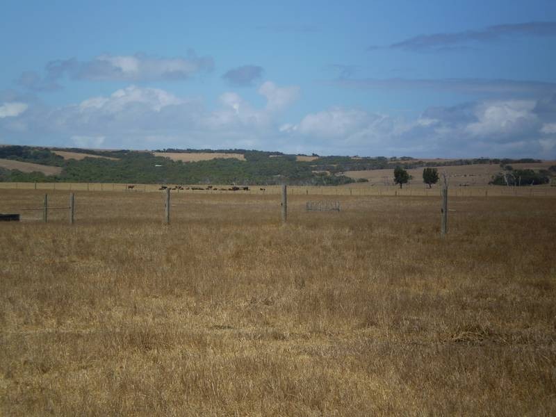 325 Mc Burnie and Boag Road, Tarwin Lower VIC 3956