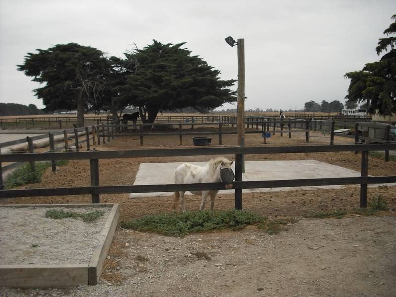 290 Convent School Rd, Nar Nar Goon VIC 3812