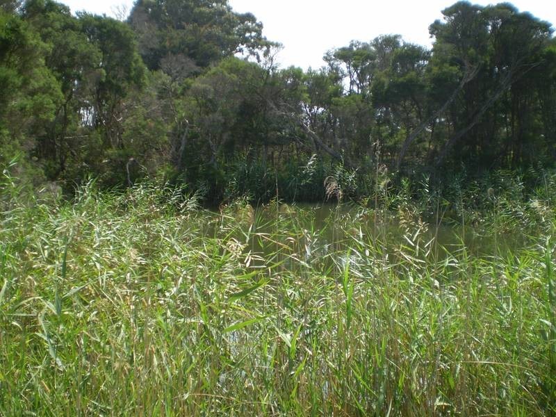 40 Hardys Road, Tooradin VIC 3980