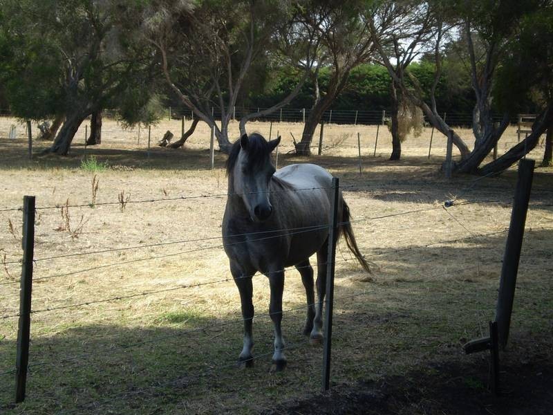 40 Hardys Road, Tooradin VIC 3980