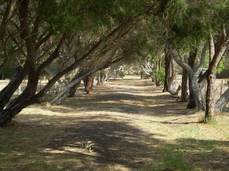 40 Hardys Road, Tooradin VIC 3980