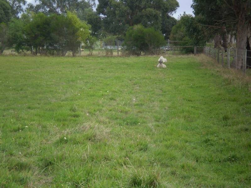 61_ Hatchs Road, Nyora VIC 3987