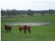 125 Snowball Road, Longwarry VIC 3816
