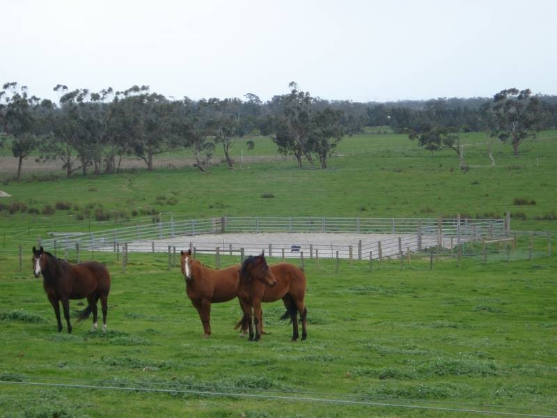 125 Snowball Road, Longwarry VIC 3816