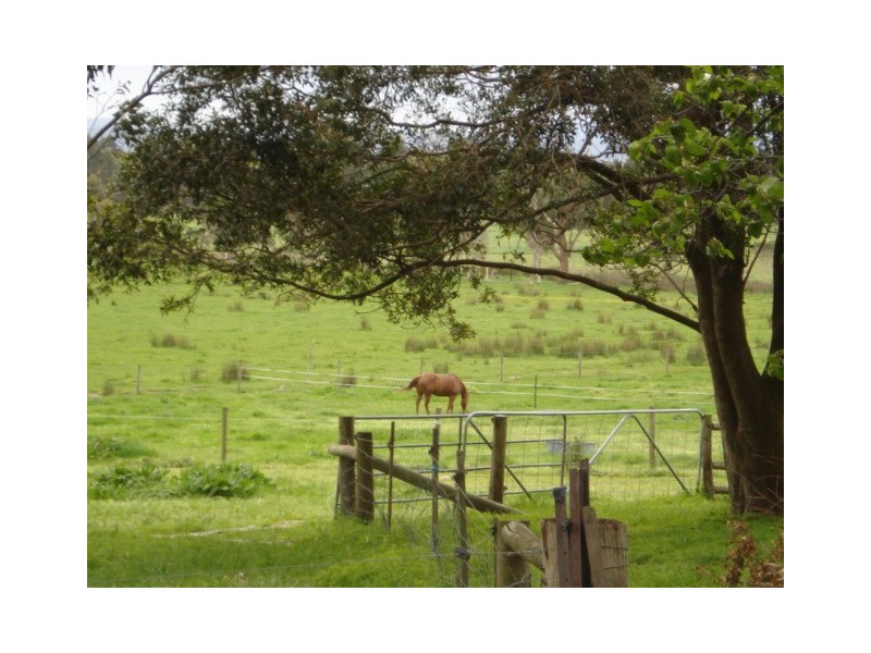 125 Snowball Road, Longwarry VIC 3816