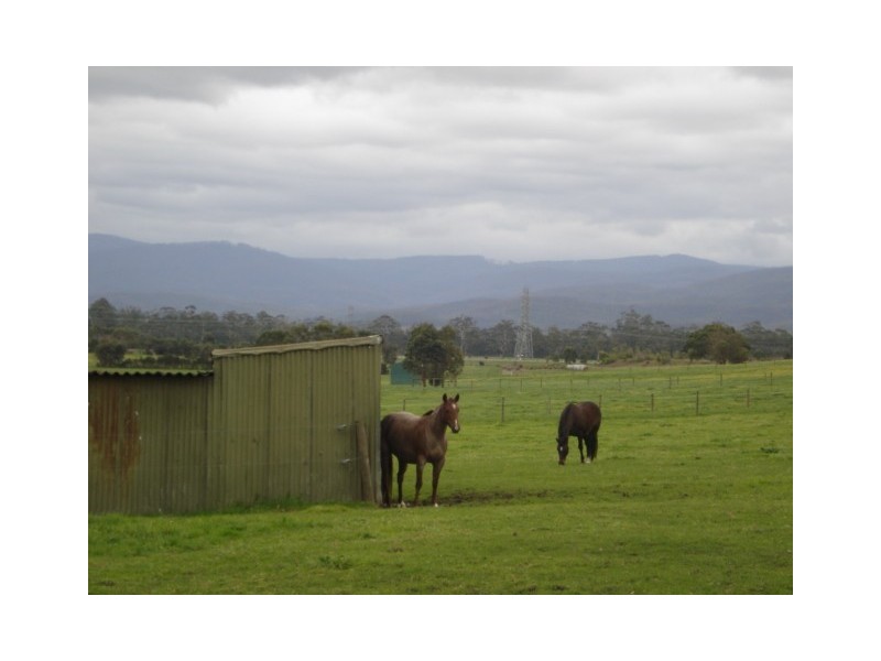 125 Snowball Road, Longwarry VIC 3816