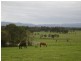 125 Snowball Road, Longwarry VIC 3816