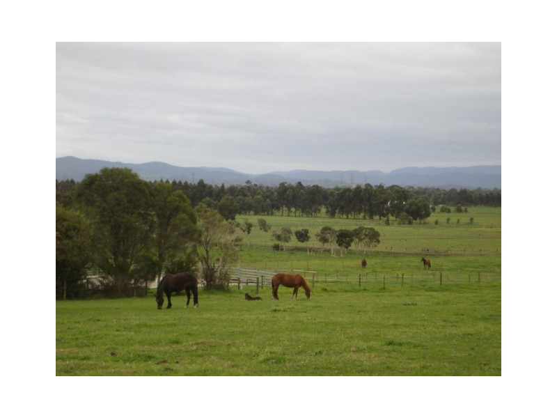 125 Snowball Road, Longwarry VIC 3816