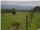 125 Snowball Road, Longwarry VIC 3816