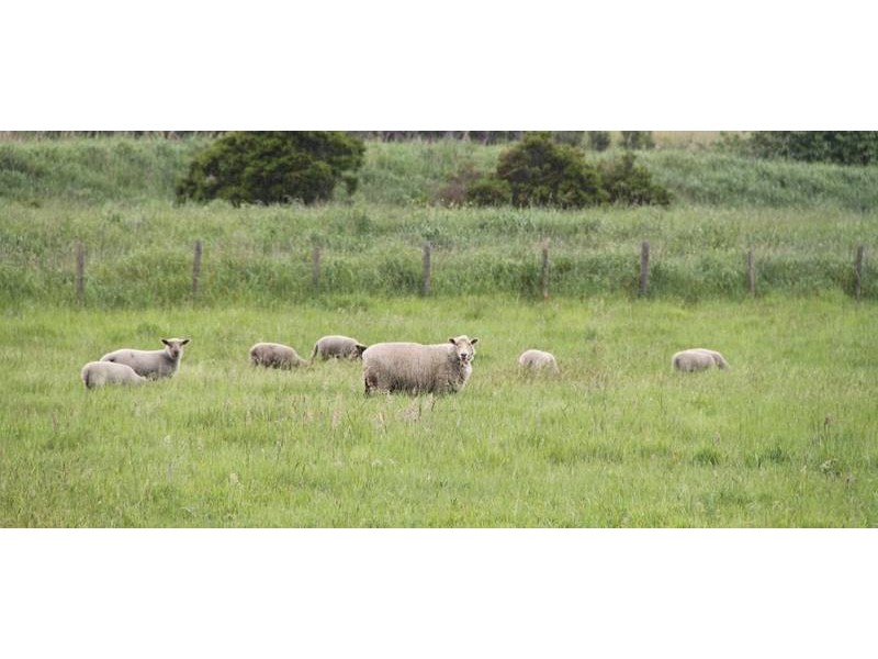 1230 KooWeeRup Longwarry Road, Catani VIC 3981