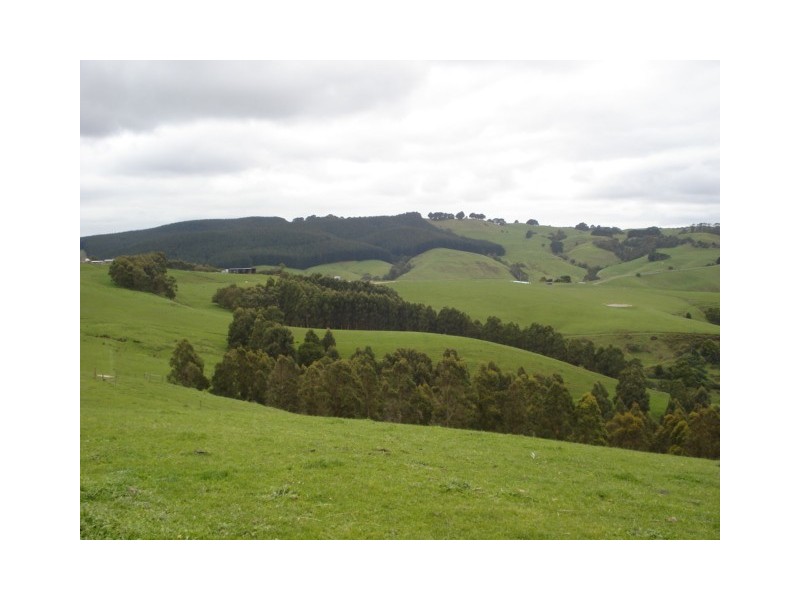 220 Hollins Road, Trida VIC 3953