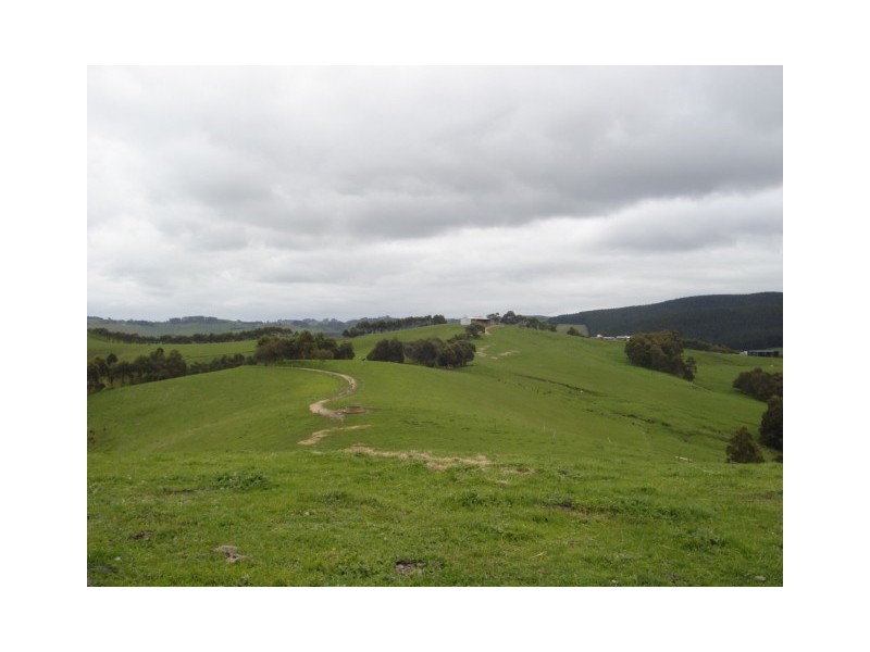 220 Hollins Road, Trida VIC 3953