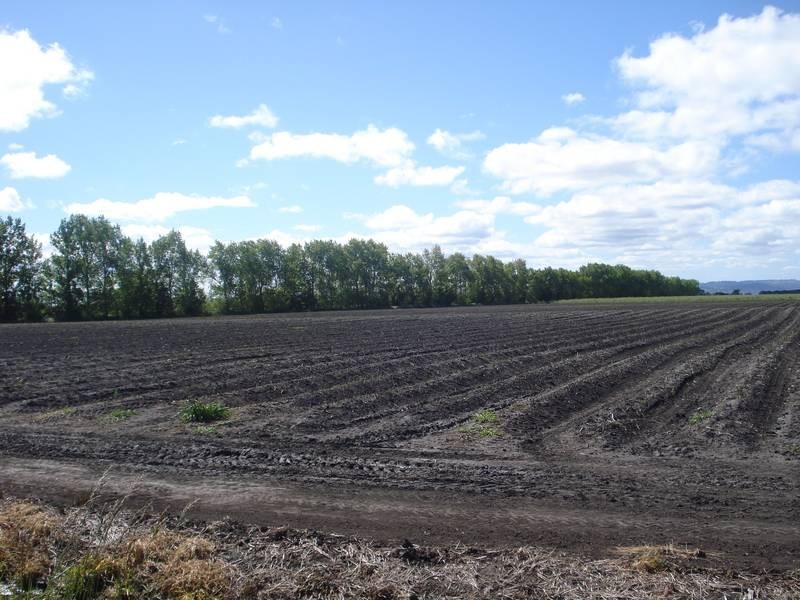 2915 Ballarto Road, Koo Wee Rup VIC 3981