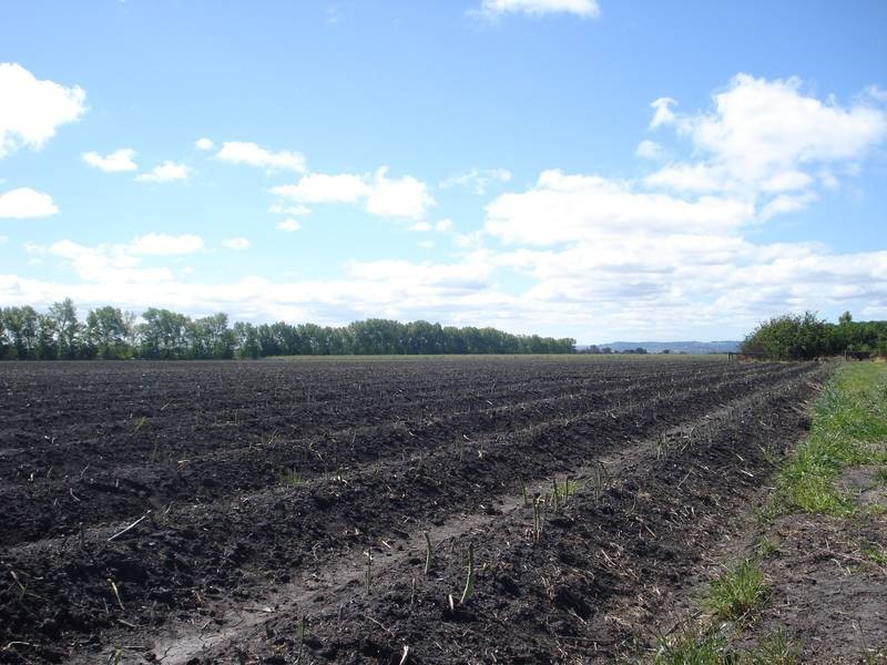 2915 Ballarto Road, Koo Wee Rup VIC 3981