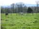 1245 Murray Road, Bunyip VIC 3815
